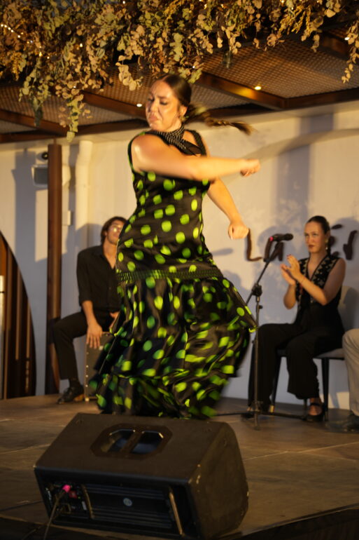 Fotografías_JUEVES 18_Cena de Gala__UTA4763
